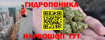шишки Ипатово