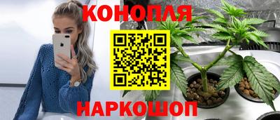 ГАЛЛЮЦИНОГЕННЫЕ ГРИБЫ Ирбит